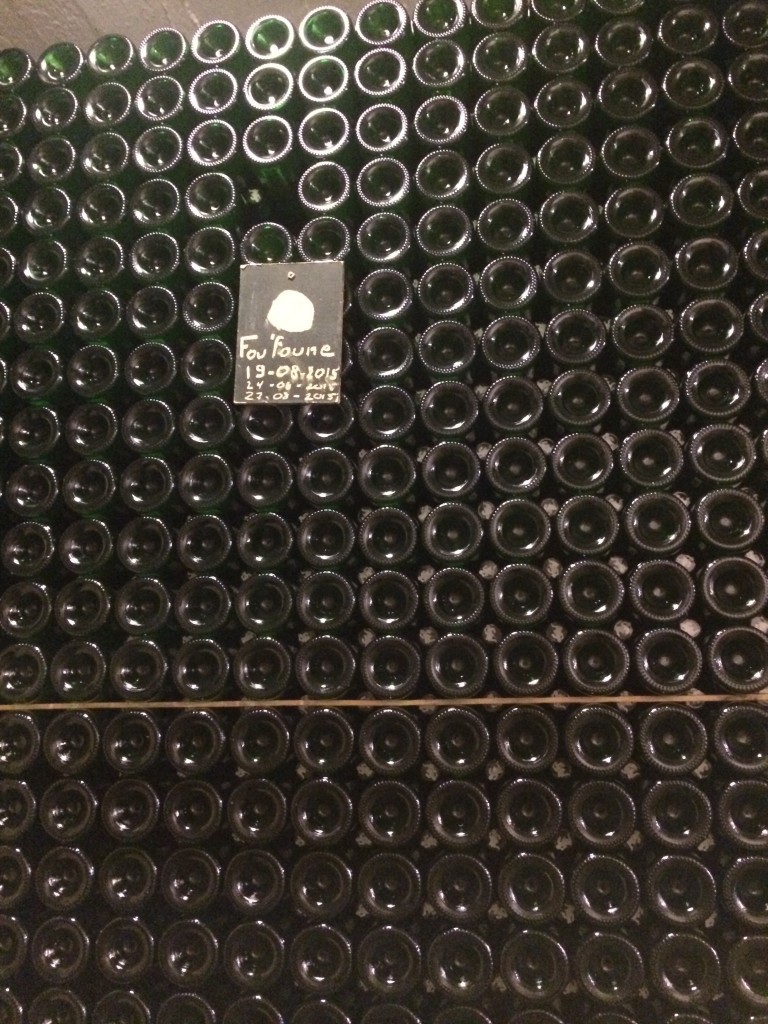Wall of bottles of Fou Foune and Cantillon brewery