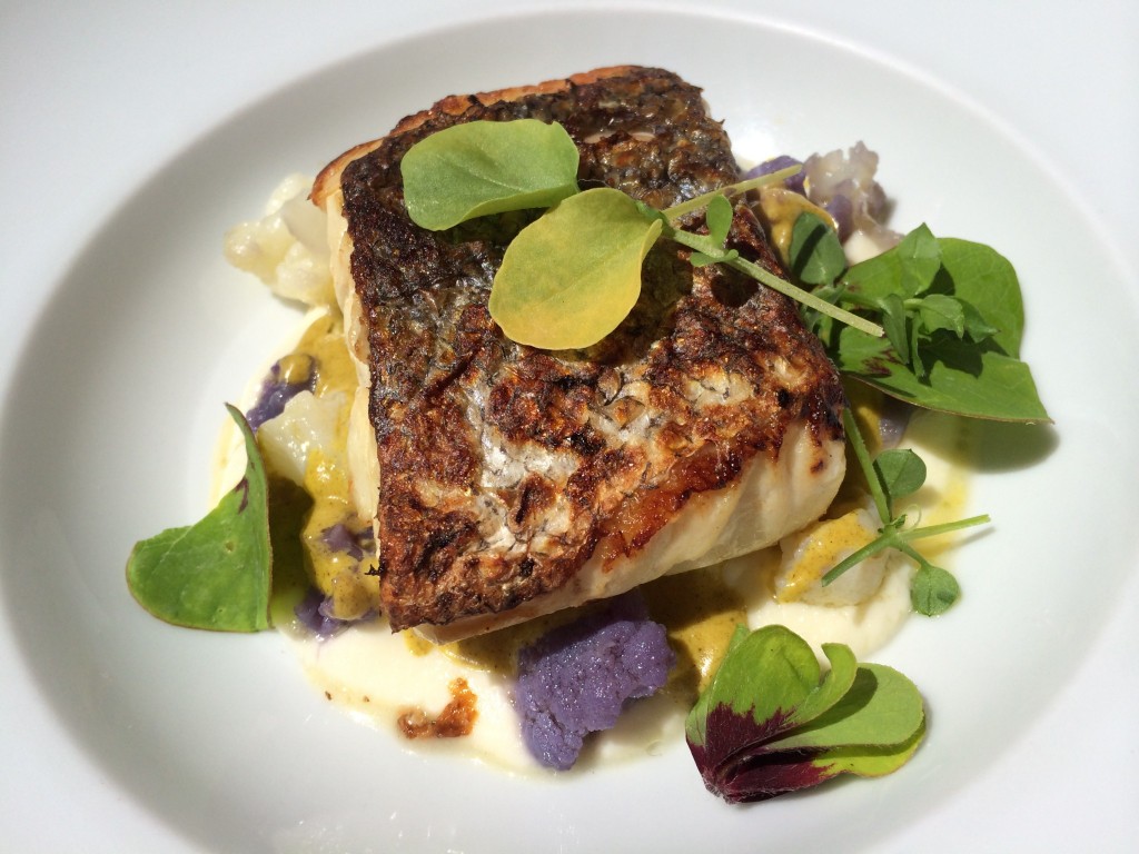 Hake, mussels with curry cream, and cauliflower