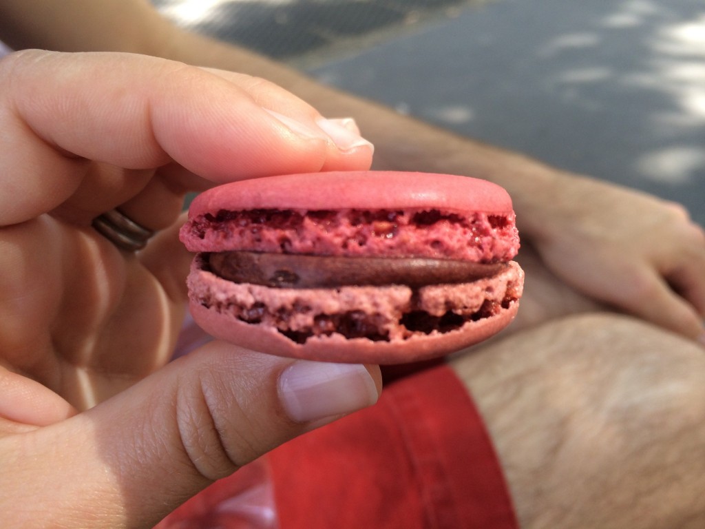 Framboise macaron from Jean-Paul Hevin