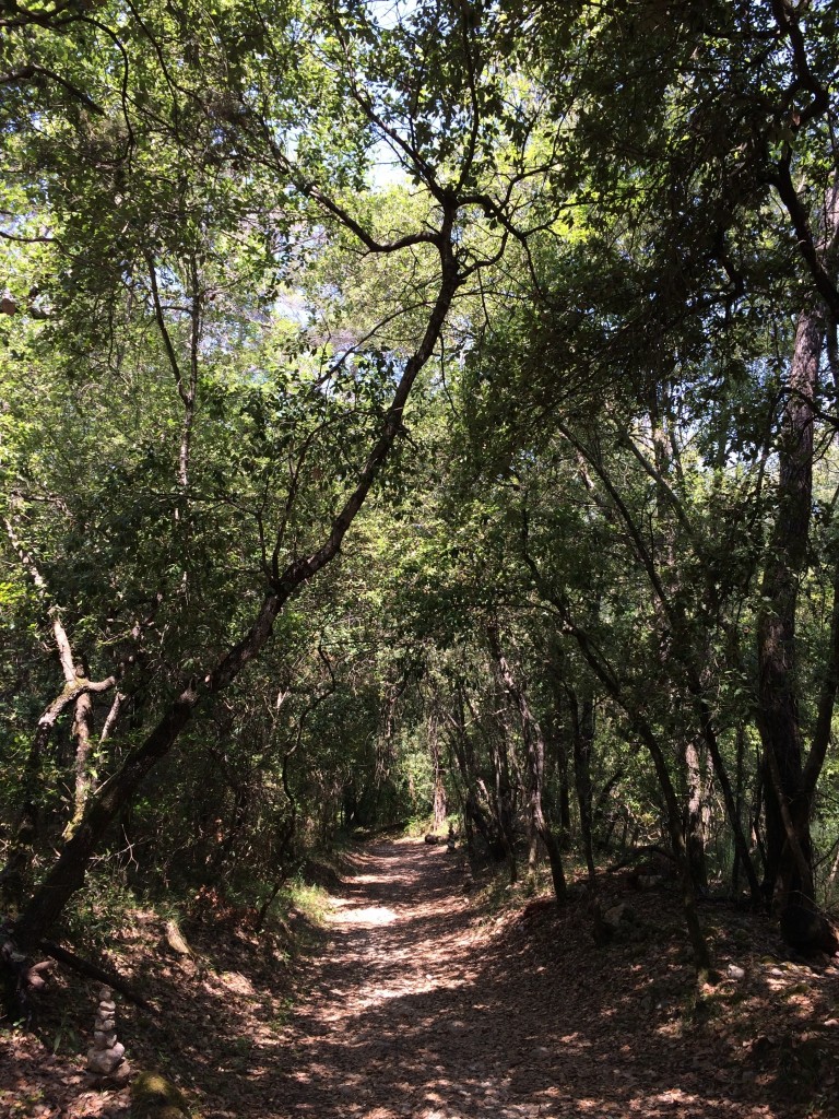 hiking to st. paul