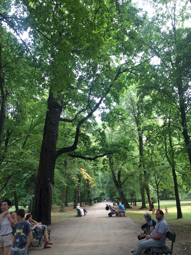 Park foliage