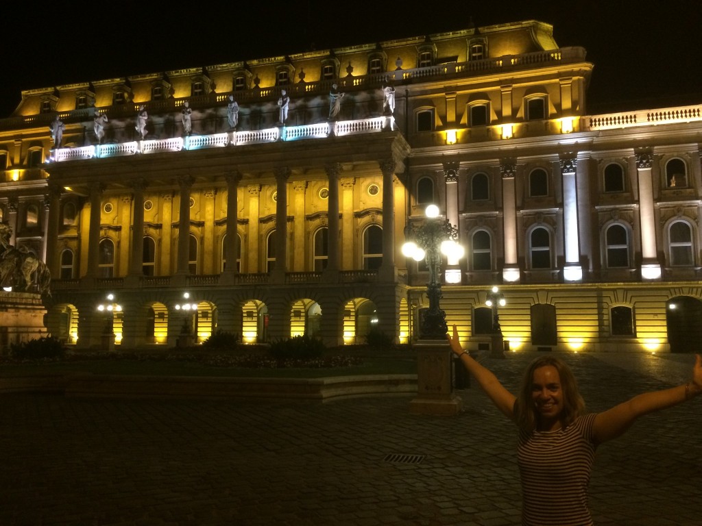 Buda castle at night